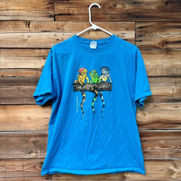 Rincon de Guayabitos Mexico Lizards Shirt Large - Picture 1 of 4